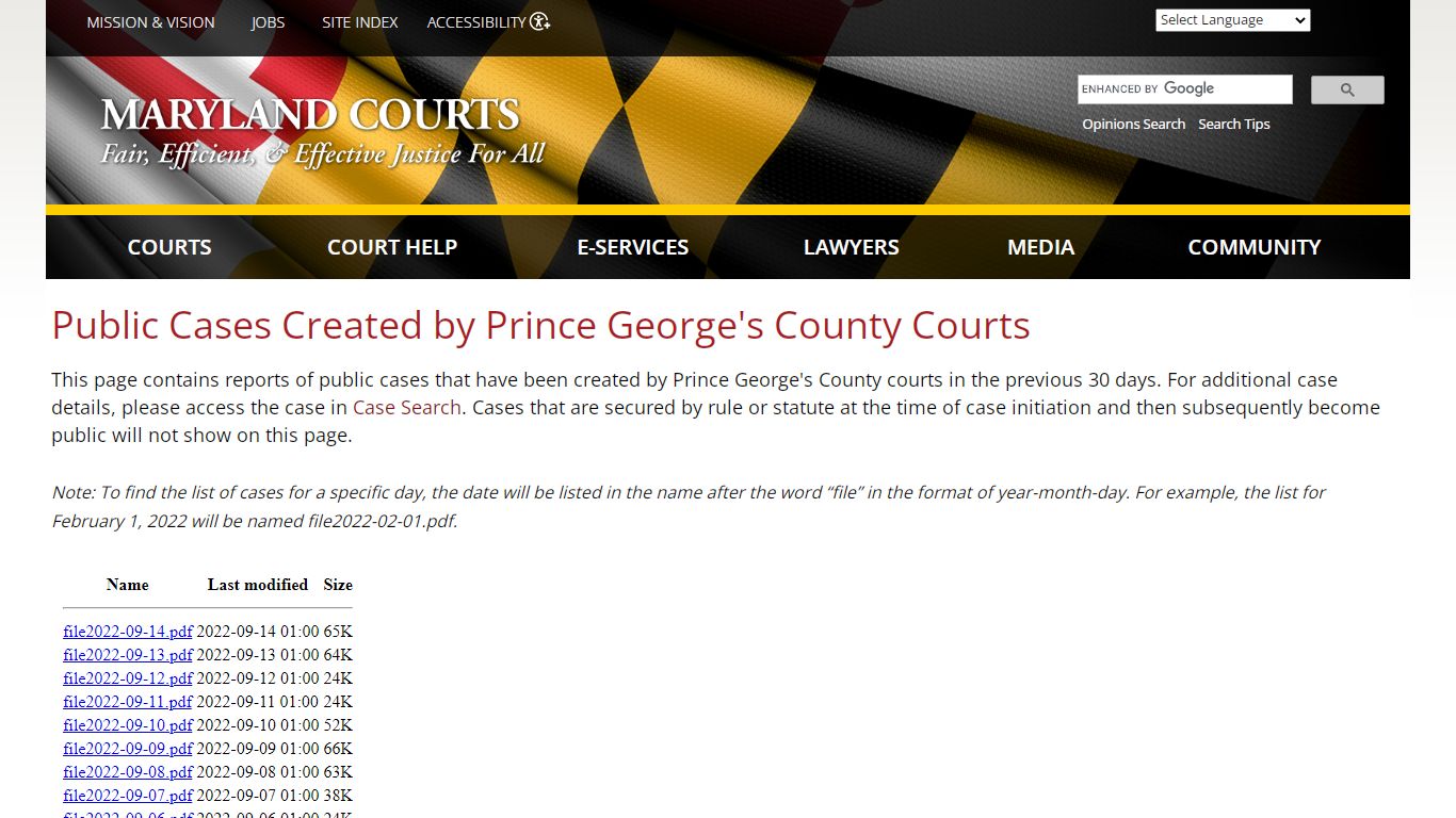 Public Cases Created by Prince George's County Courts